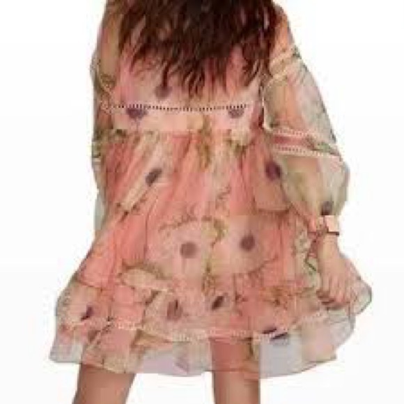 Cynthia Rowley Poppy Organza Peach Dress - Picture 4 of 15